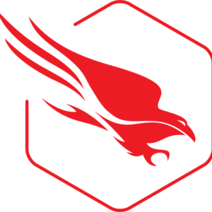 Falcon Prevent Logo